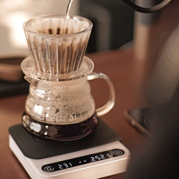 Omni - Microbalance - R2 Extract : The Ultimate Brew Control System (White)